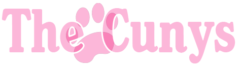 logo cunys